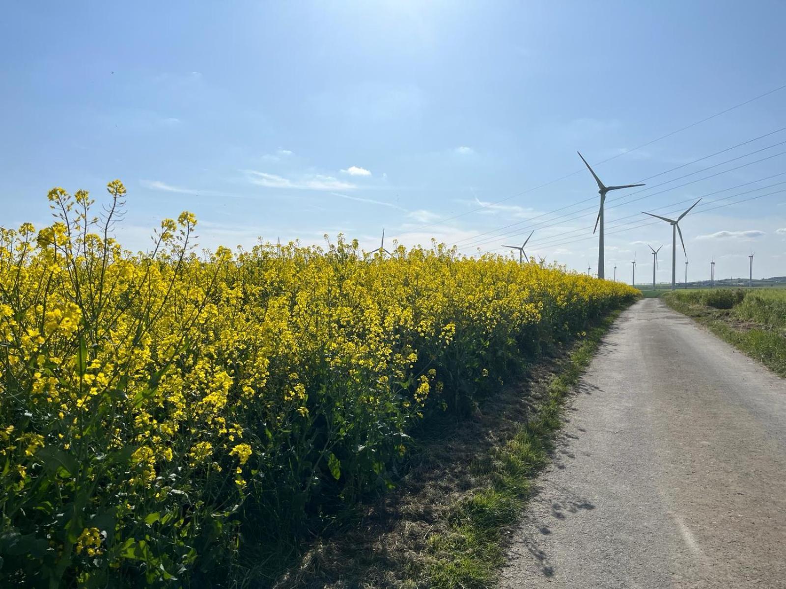 Kaisers Ferienhaus Kaifenheim Exteriér fotografie